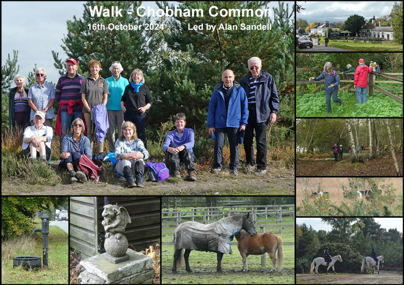 Walk - Chobham Common - 16th October 2024